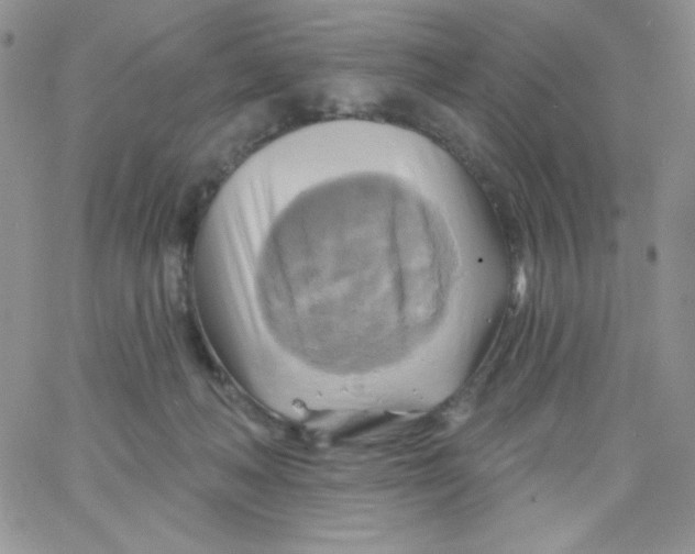 X0000062910222200602031905