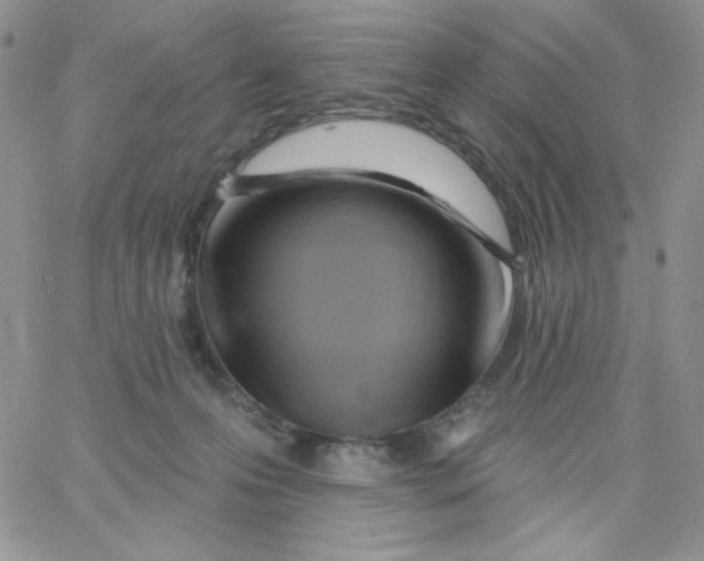 X0000062910223200602031905