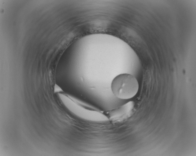 X0000062910224200602031905