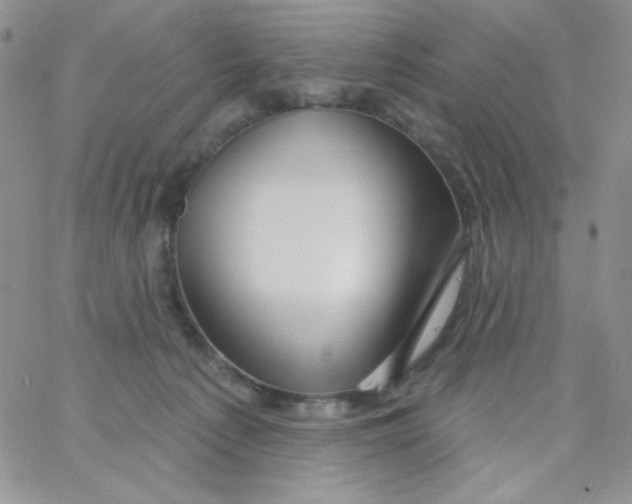 X0000062910225200602031905