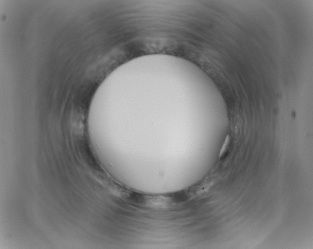 X0000062910226200602031905