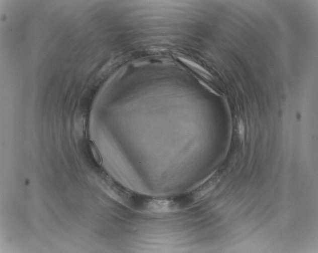 X0000062910227200602031905