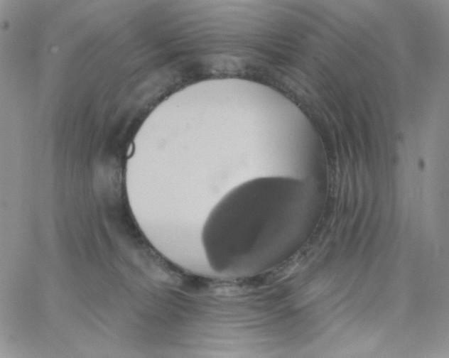 X0000062910228200602031905