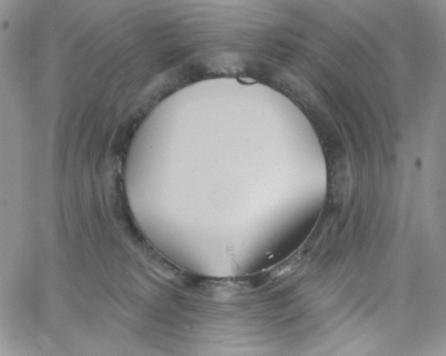 X0000062910229200602031905