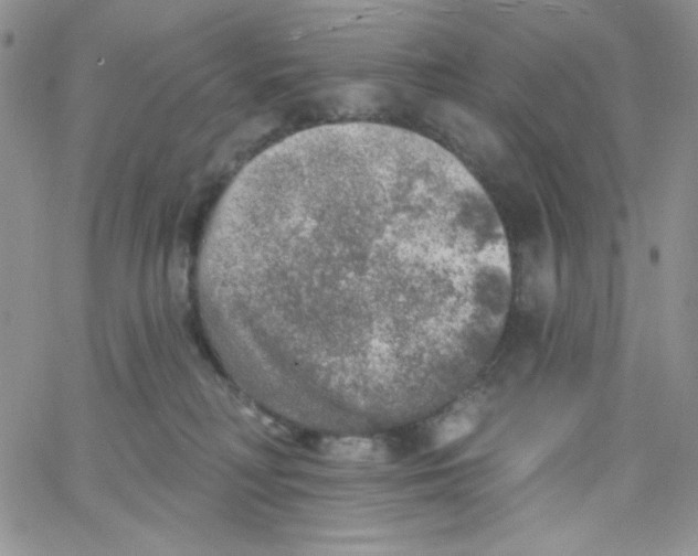 X0000062910230200602031905