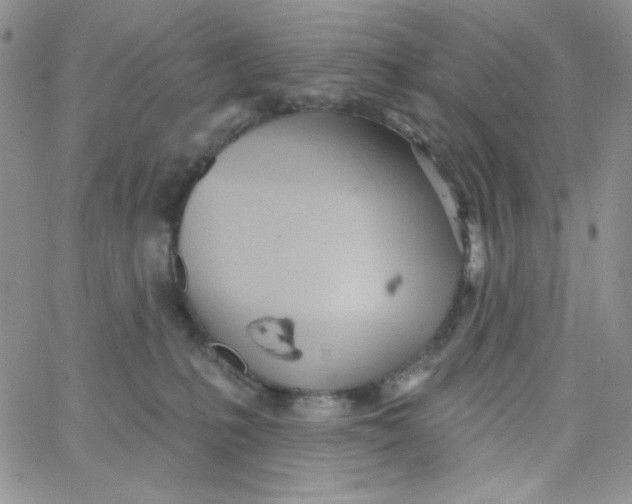 X0000062910231200602031905