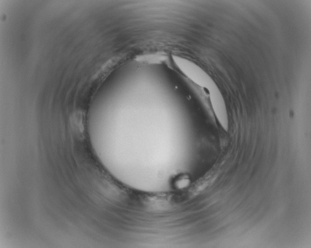 X0000062910232200602031905