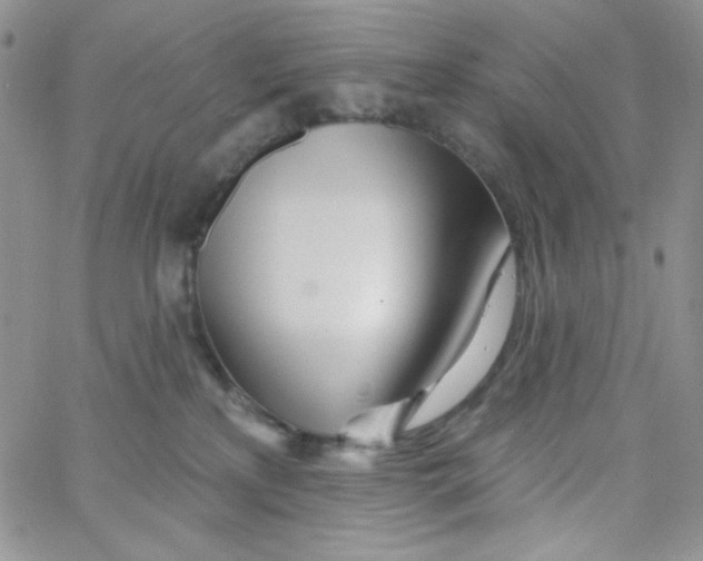 X0000062910233200602031905