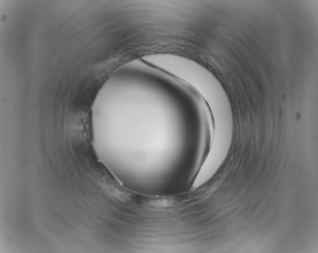 X0000062910237200602031905