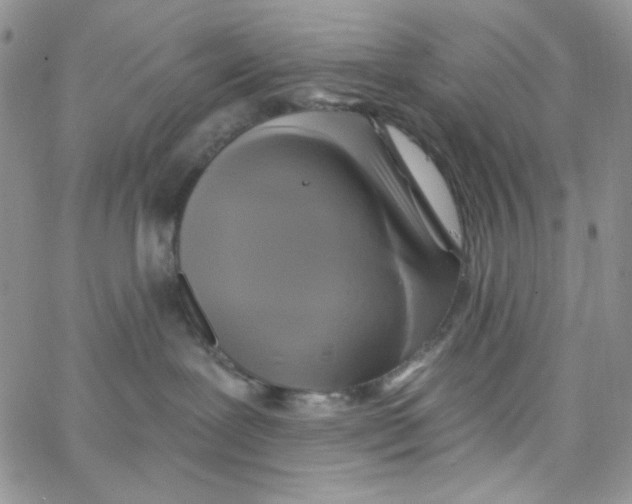 X0000062910239200602031905