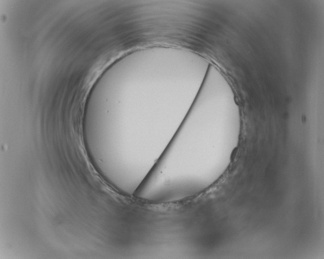 X0000062910241200602031904