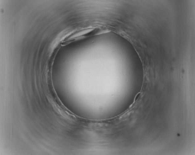 X0000062910242200602031904