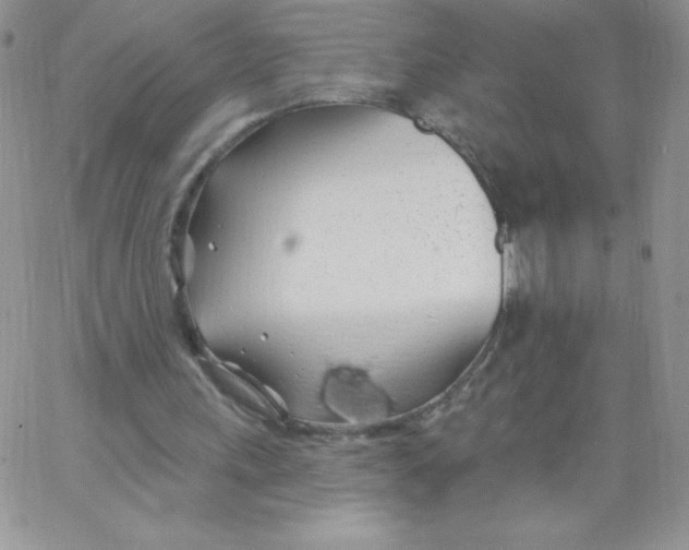 X0000062910243200602031904