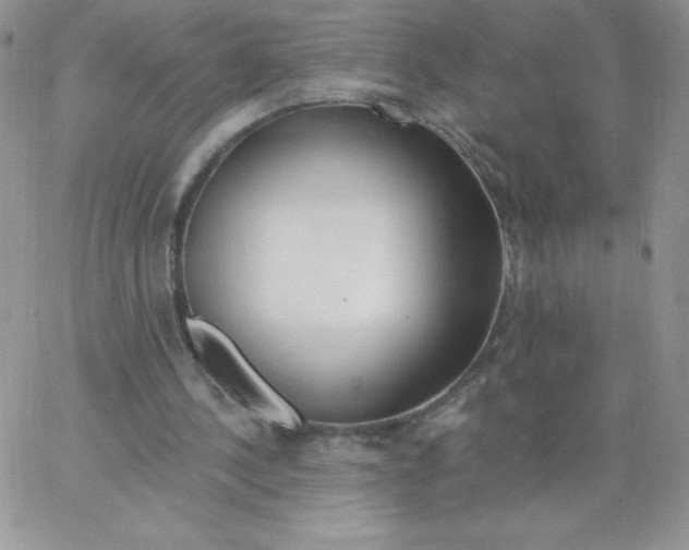 X0000062910244200602031904