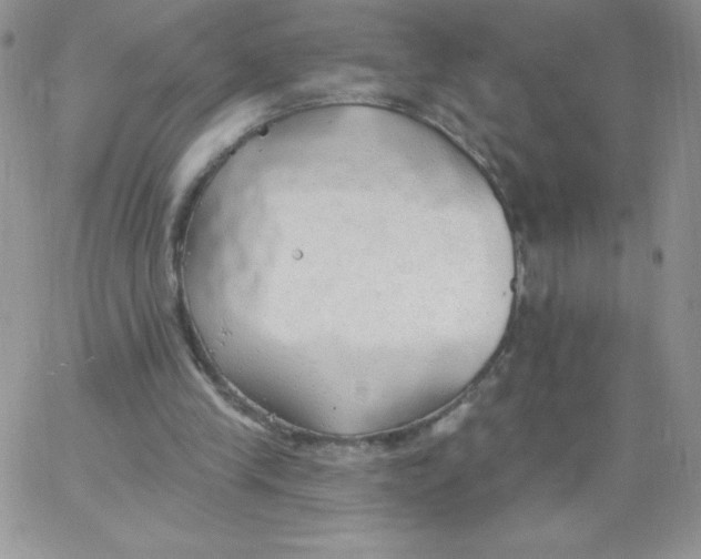 X0000062910245200602031904