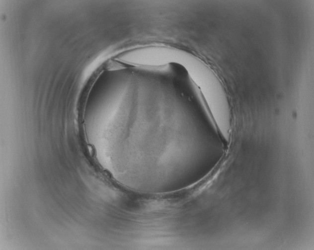 X0000062910246200602031904