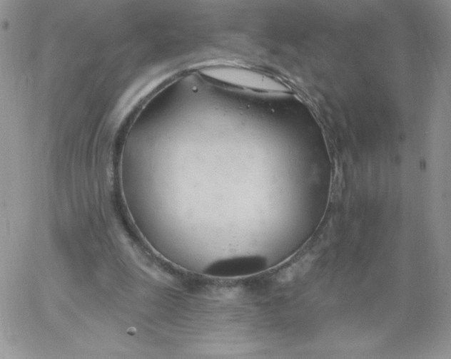 X0000062910247200602031904