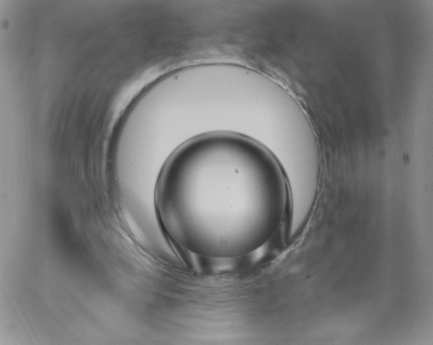 X0000062910248200602031904