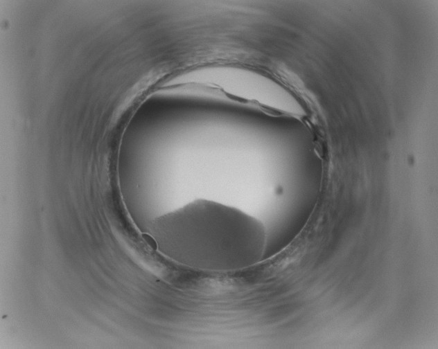 X0000062910250200602031904