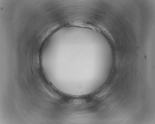 X0000062910251200602031904