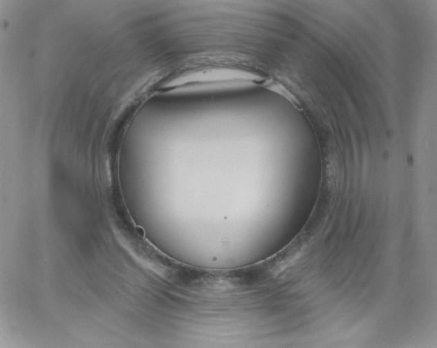 X0000062910254200602031904