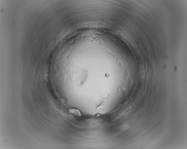 X0000062910255200602031904