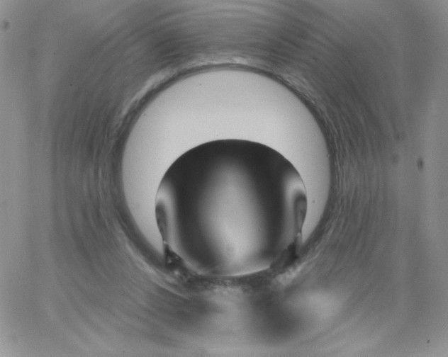 X0000062910256200602031904