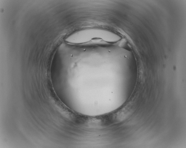 X0000062910257200602031904