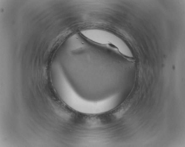 X0000062910258200602031904