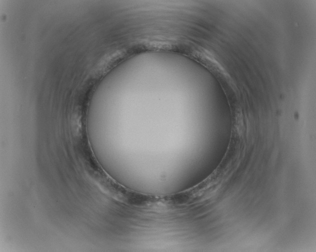 X0000062910259200602031904