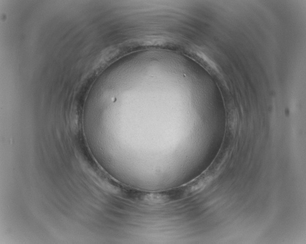 X0000062910261200602031904