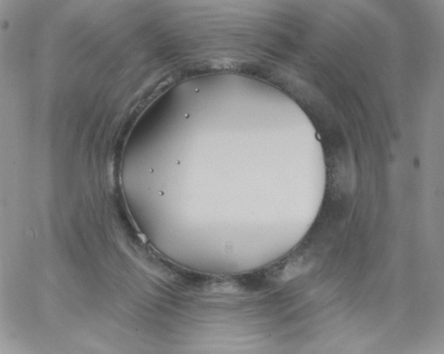 X0000062910262200602031904