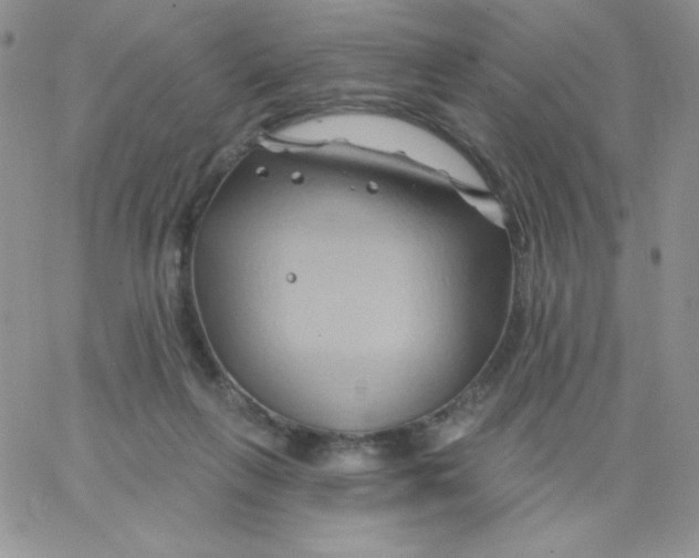 X0000062910263200602031904