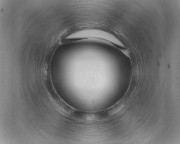 X0000062910264200602031904