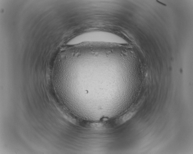 X0000062910265200602031904