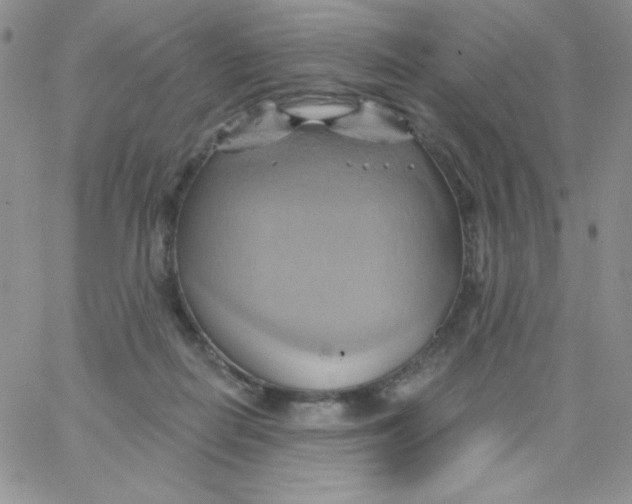 X0000062910266200602031904