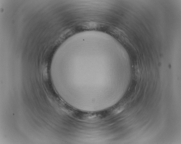 X0000062910267200602031904