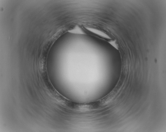 X0000062910268200602031904