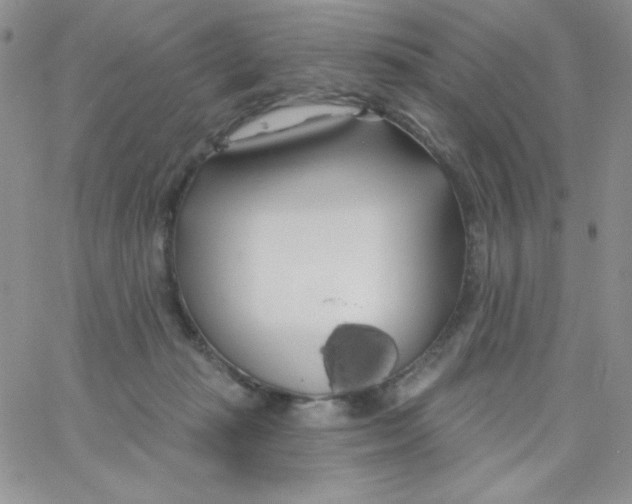 X0000062910269200602031904