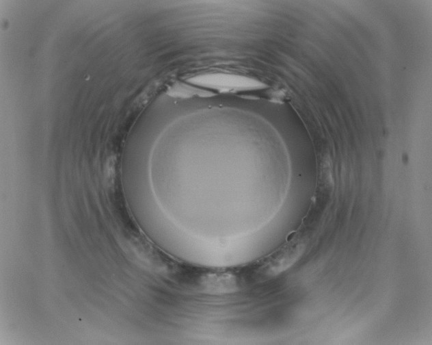 X0000062910271200602031904