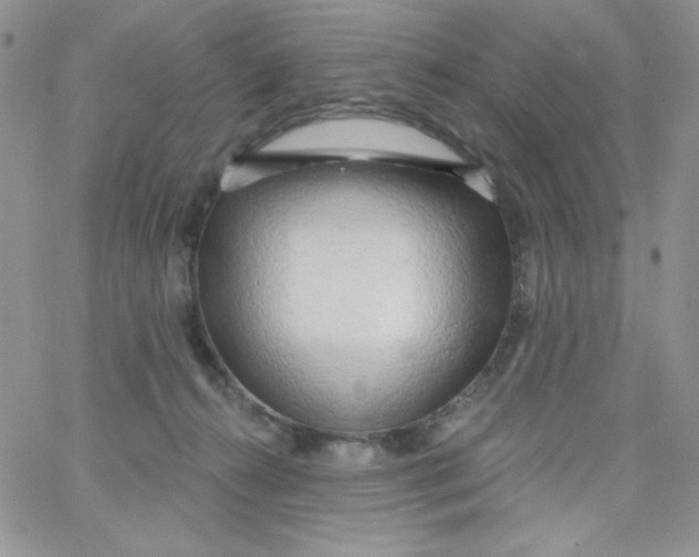 X0000062910272200602031904