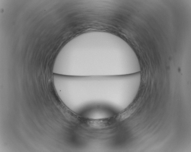 X0000062910273200602031904