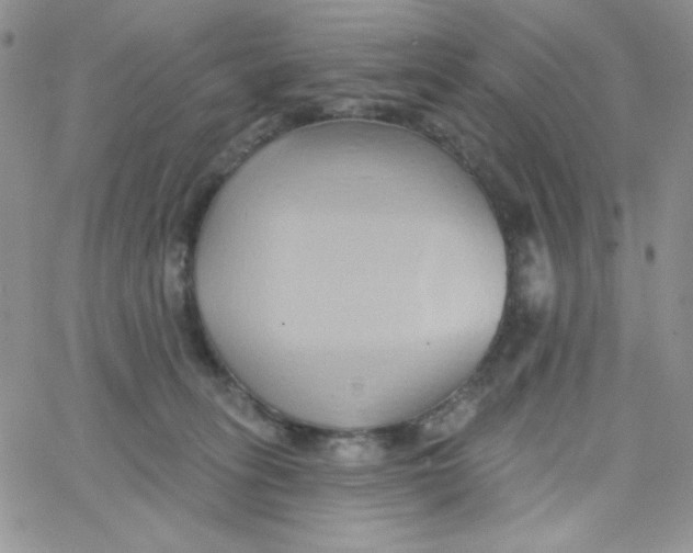 X0000062910275200602031904