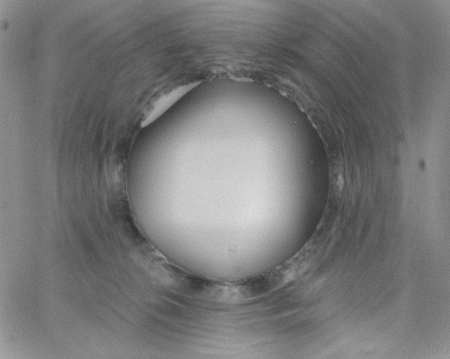 X0000062910276200602031904