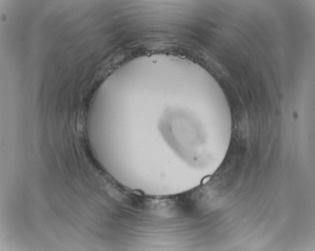 X0000062910277200602031904