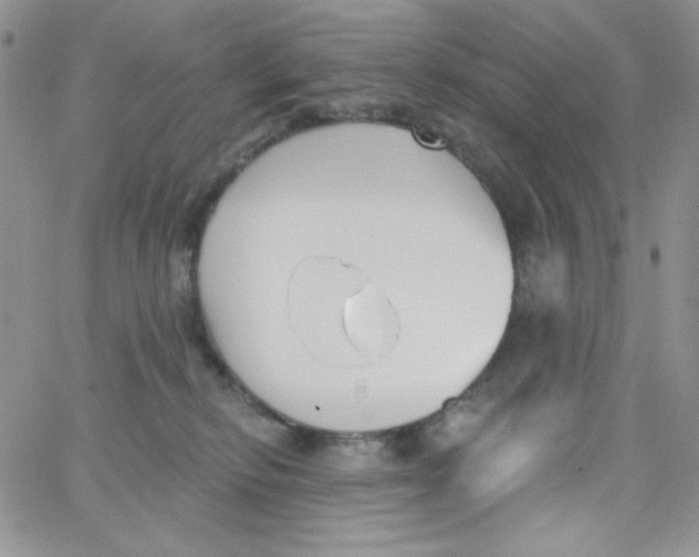 X0000062910278200602031904