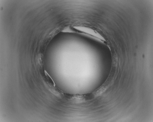 X0000062910280200602031904