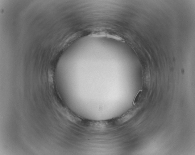 X0000062910282200602031904