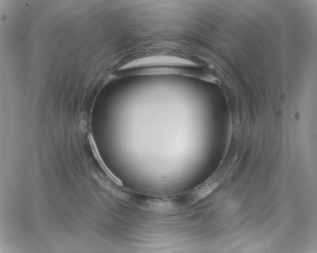 X0000062910284200602031904