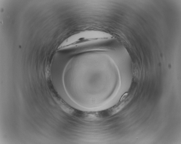 X0000062910285200602031904